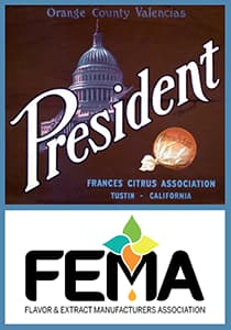 2020 Dfw President Of Fema