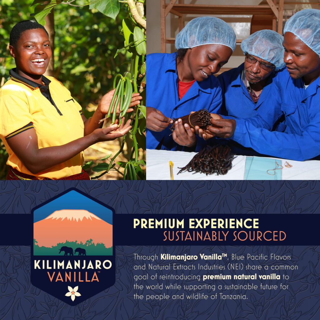 Kilimanjaro Vanilla Mission 1x1