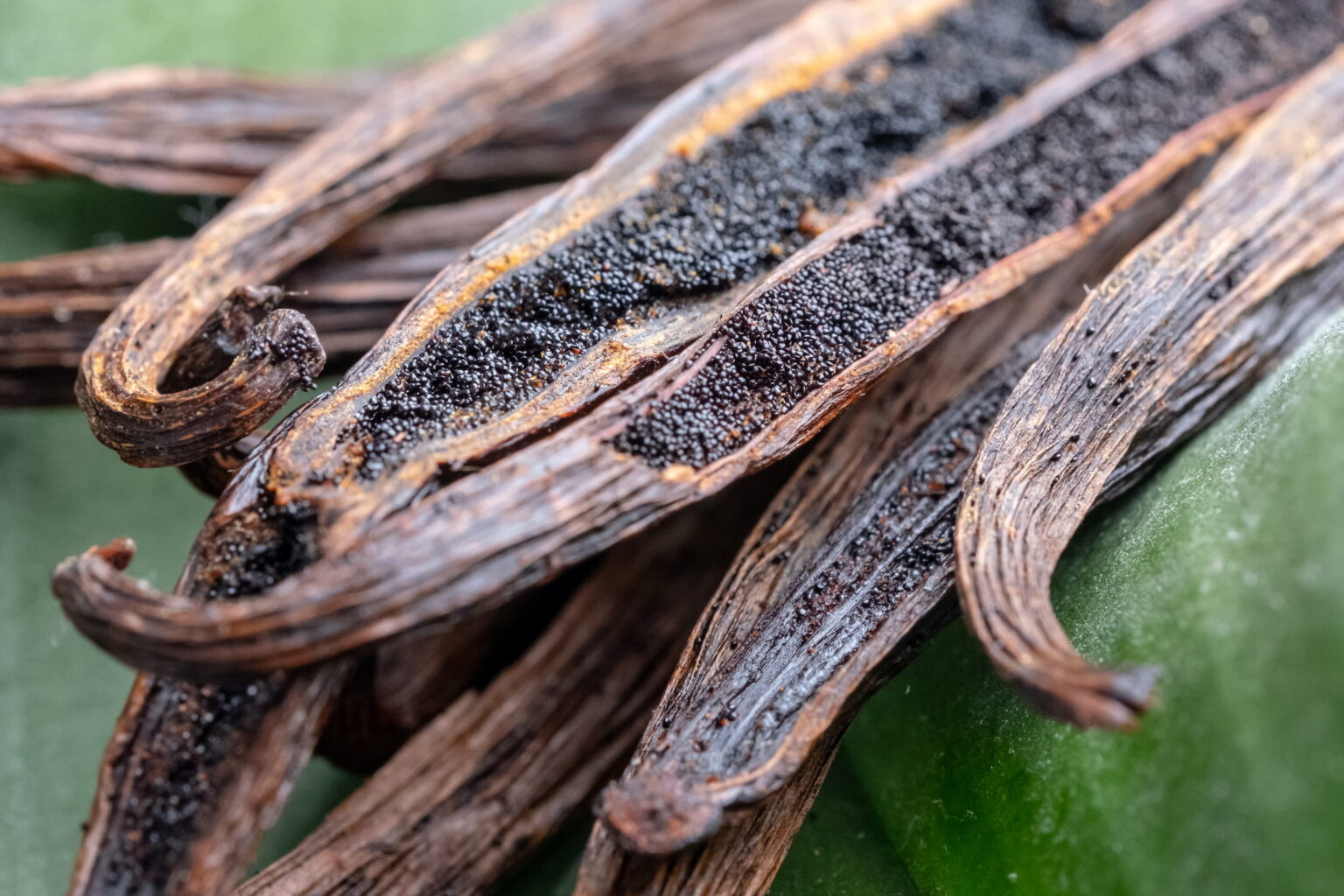 What does vanilla taste like? Flavor Sensory