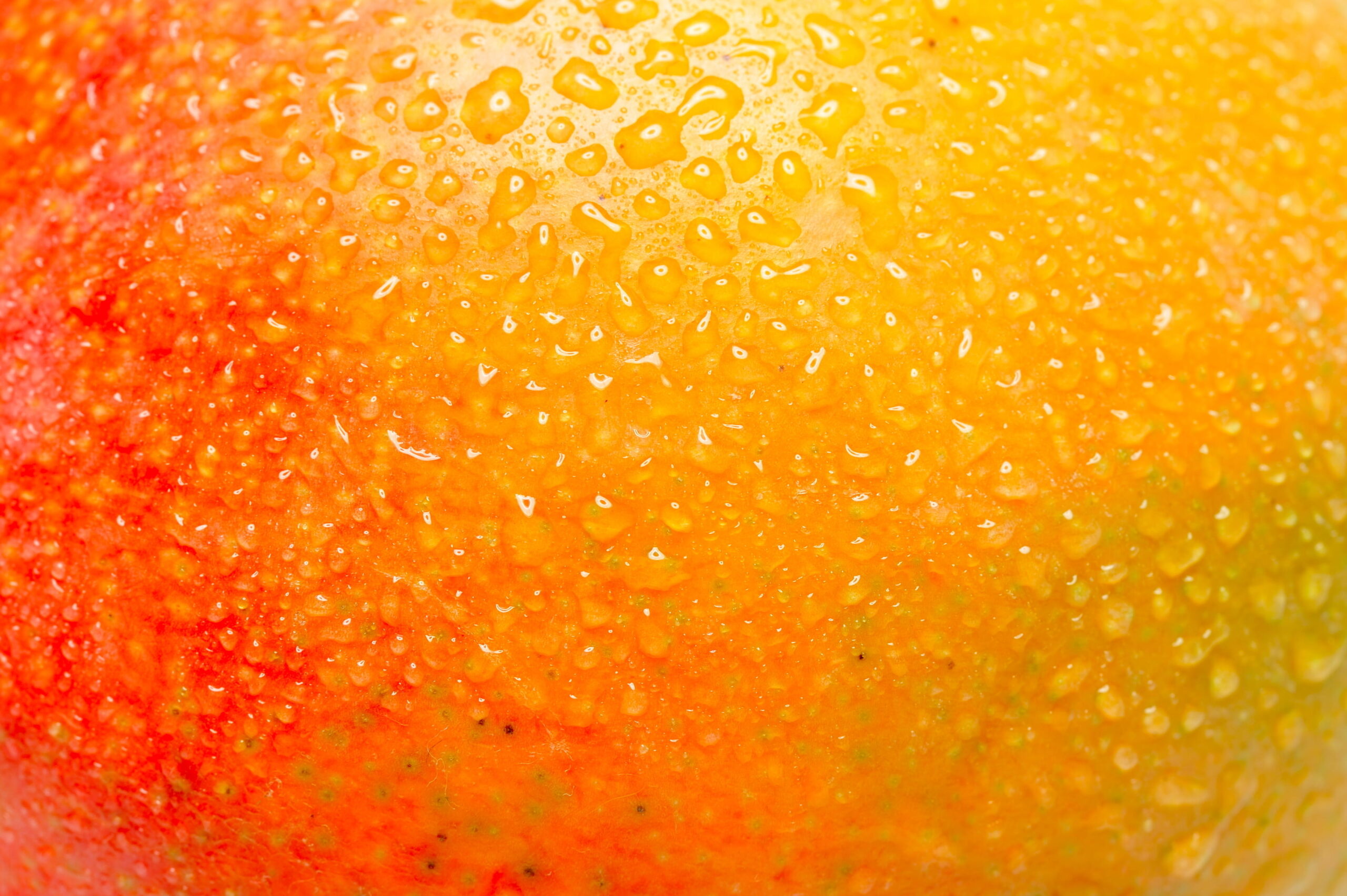 Mango Flavor Mango Uses, Pairings & Recipes