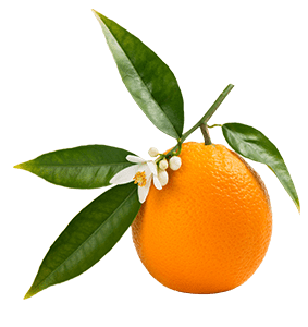 Fruit Orange Silo Shutterstock 1068636680 Min
