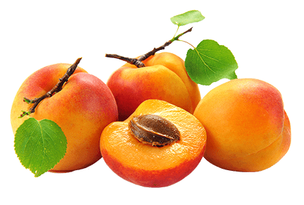 Fruit Peaches Silo Shutterstock 644772019 Min