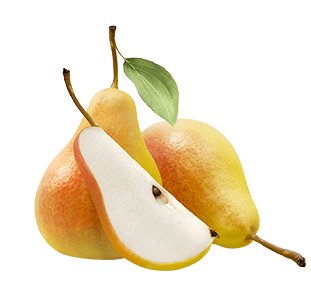 Fruit Pear Silo Shutterstock 222292819 Min