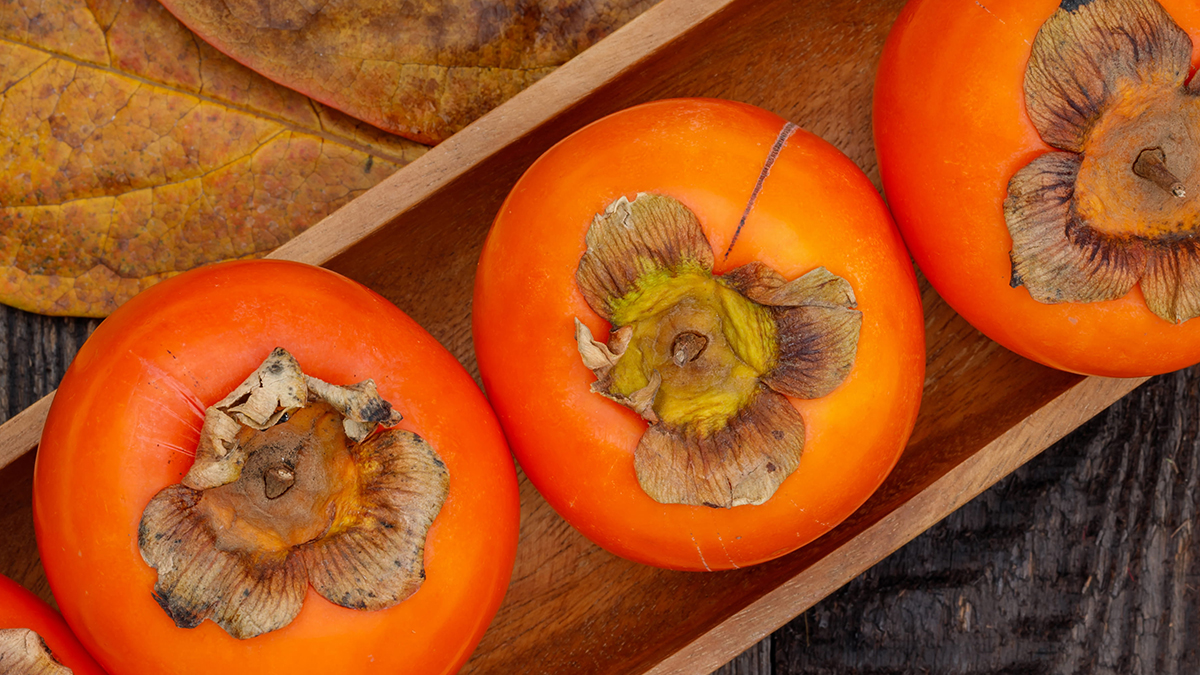 Persimmon Header