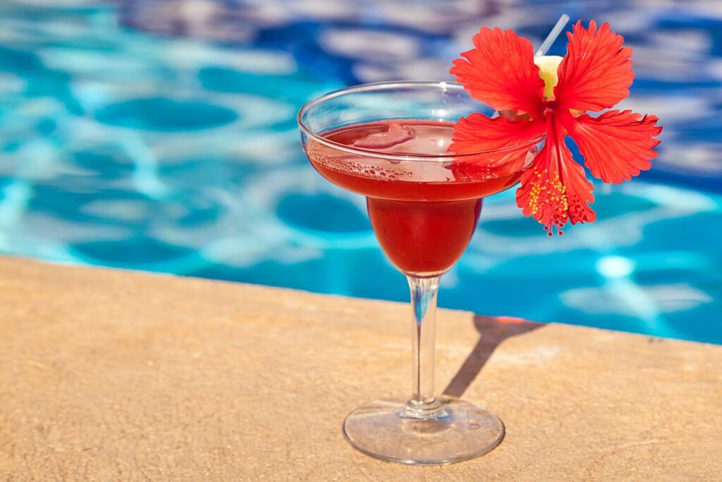 natural hibiscus flavor, hibiscus margarita, beverage flavors