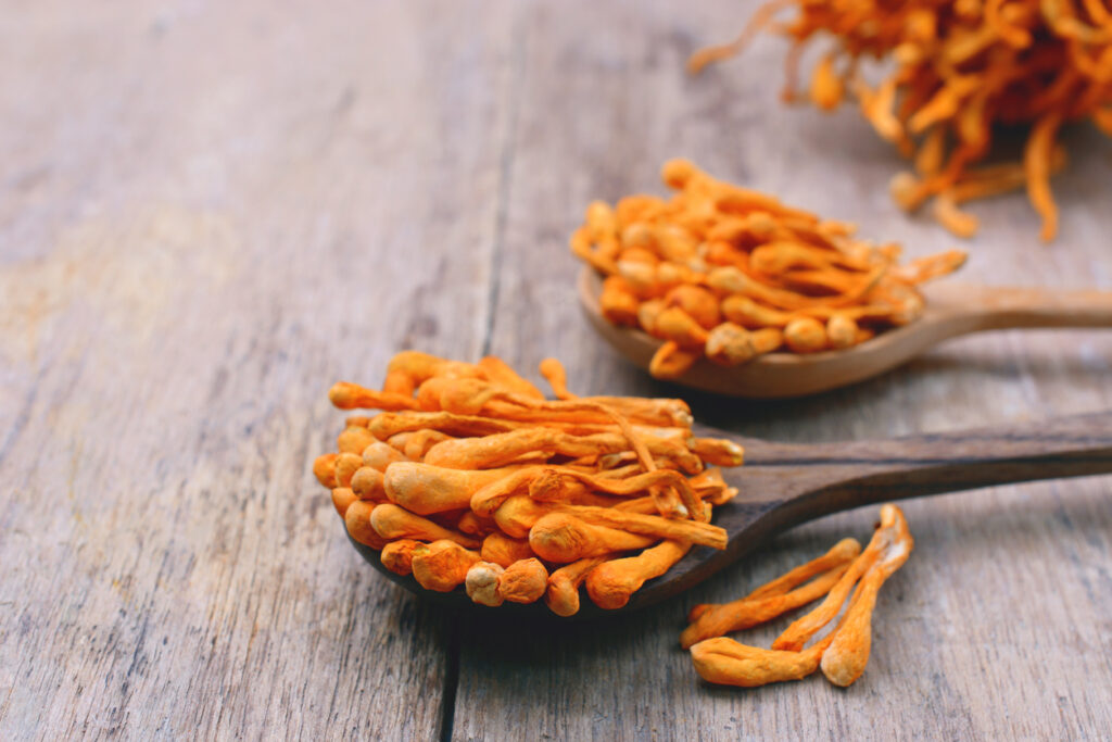 Dried Cordyceps Militaris Mushroom, adaptogenic mushrooms