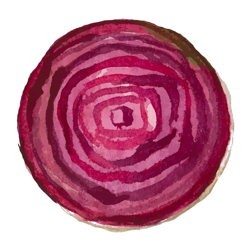 Vector Watercolor Painted Beet. Hand Drawn Fresh Food Design Element Isolated On White Background.