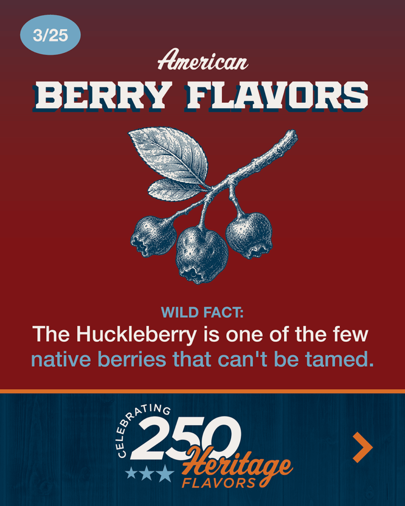 Native Berry Flavors Huckleberry 01