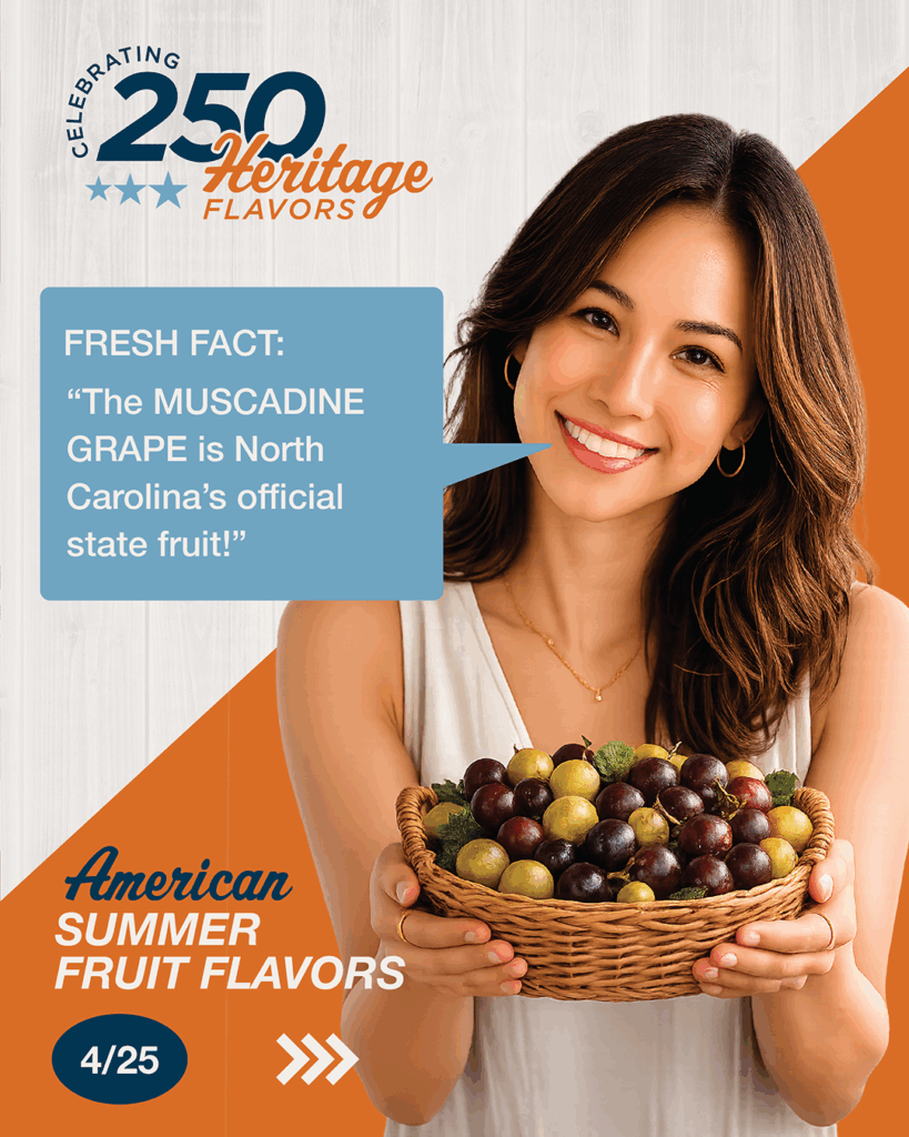 Summer Fruits Muskadine Grape 01