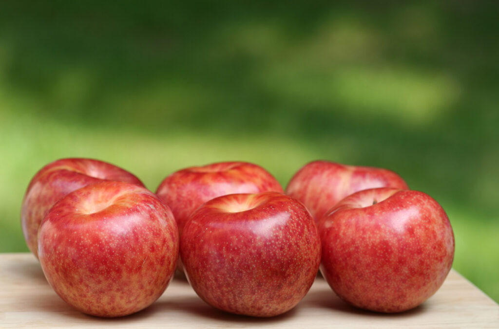 Pluot Plums, summer fruit flavors