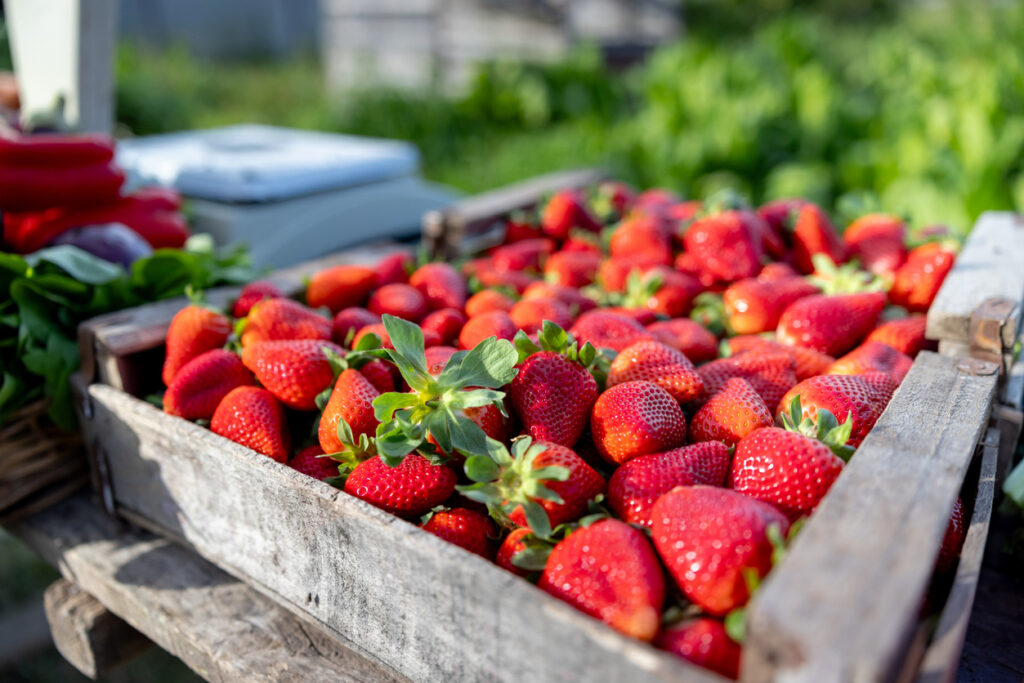 Strawberries For Sale At A Farmer's Market