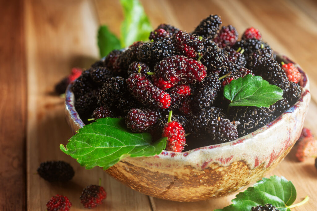 Fresh Mulberry In Ceramic Bowl.