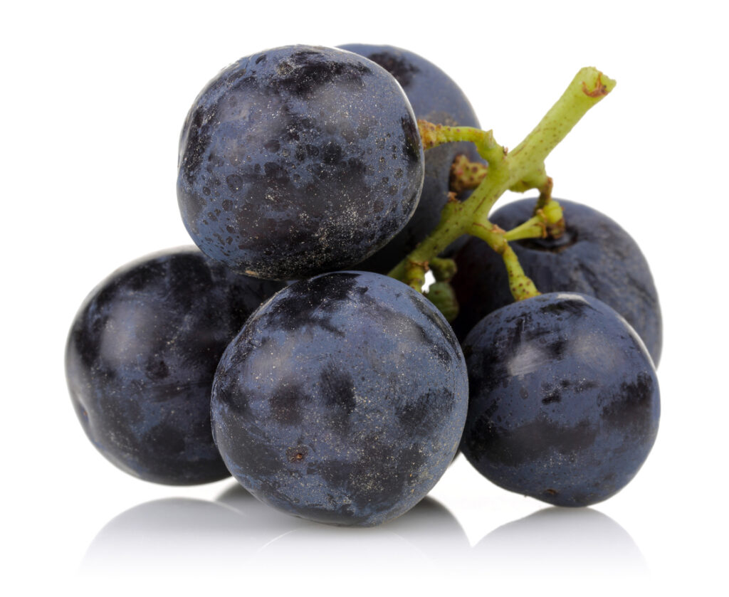 concord grape flavor