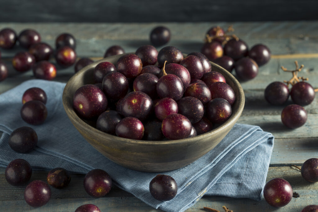 Sweet Muscadine Grapes, summer fruit flavors